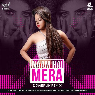 Naam Hai Mera (Remix) - DJ Merlin